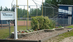 Ball Diamond